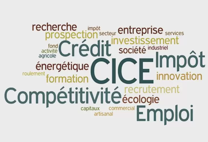 Le Crédit d'Impôt pour la Compétitivité et l'Emploi (CICE)