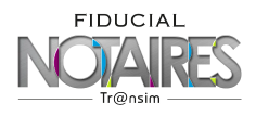Logo Transim