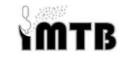 IMTB
