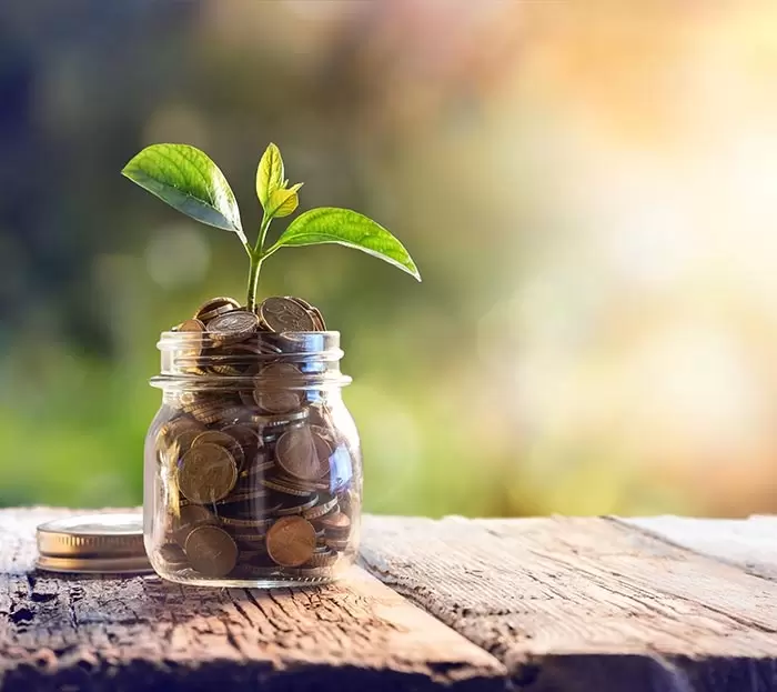 Assurance vie en euros : que faut-il faire ?