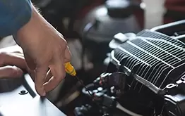 Professionnels de l'automobile et motocycle